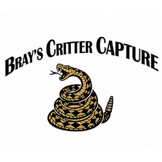 Bray's Critter Capture